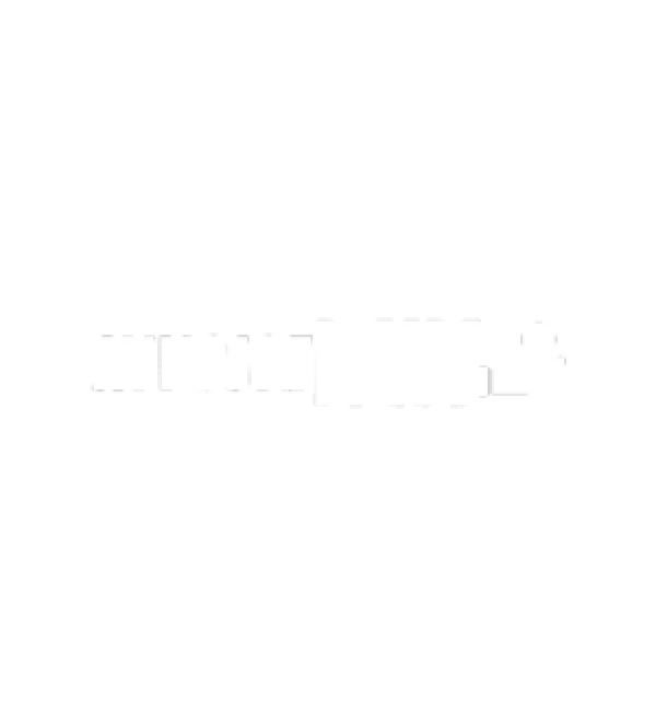InvoiceWix